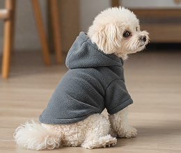 スウェット(フード)