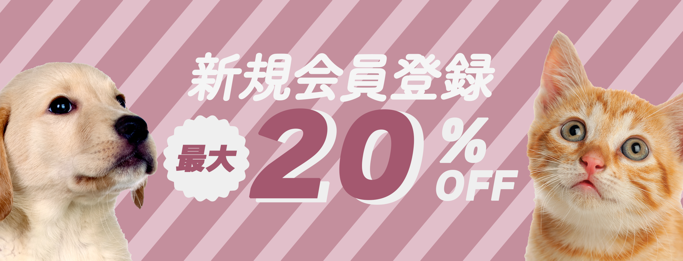 メインビジュアル2