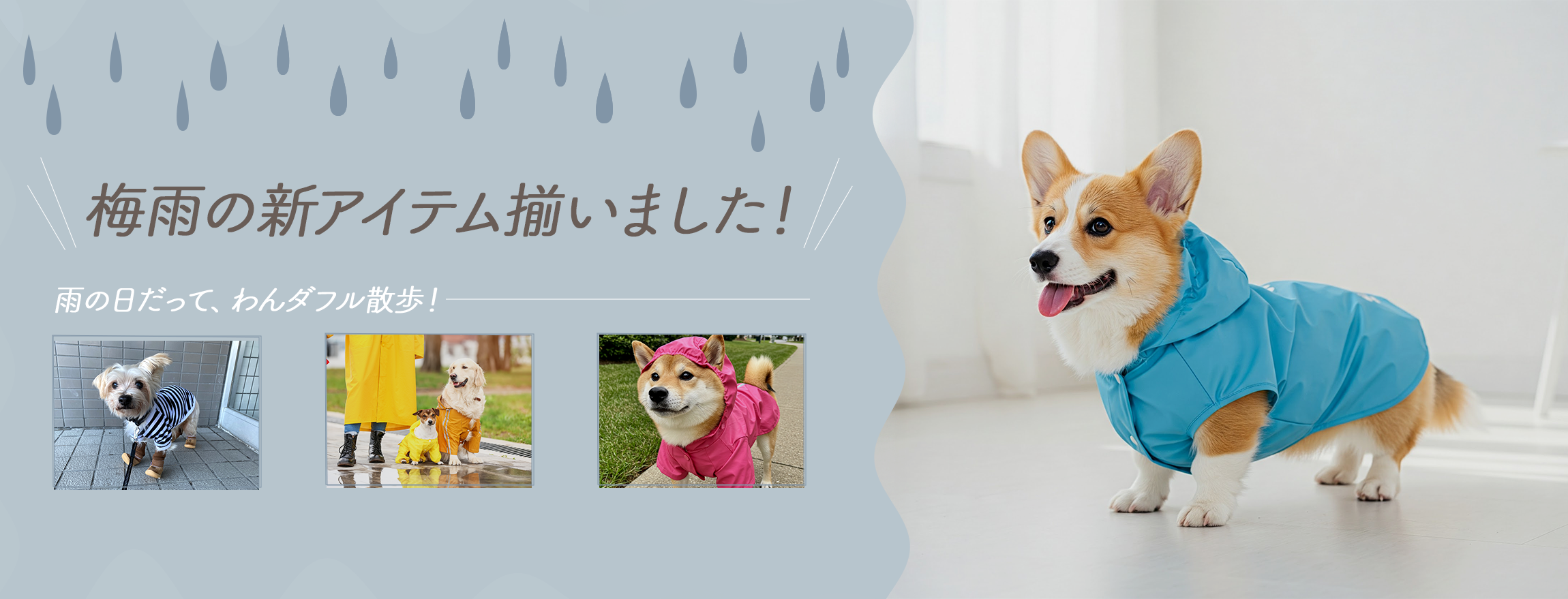 メインビジュアル1