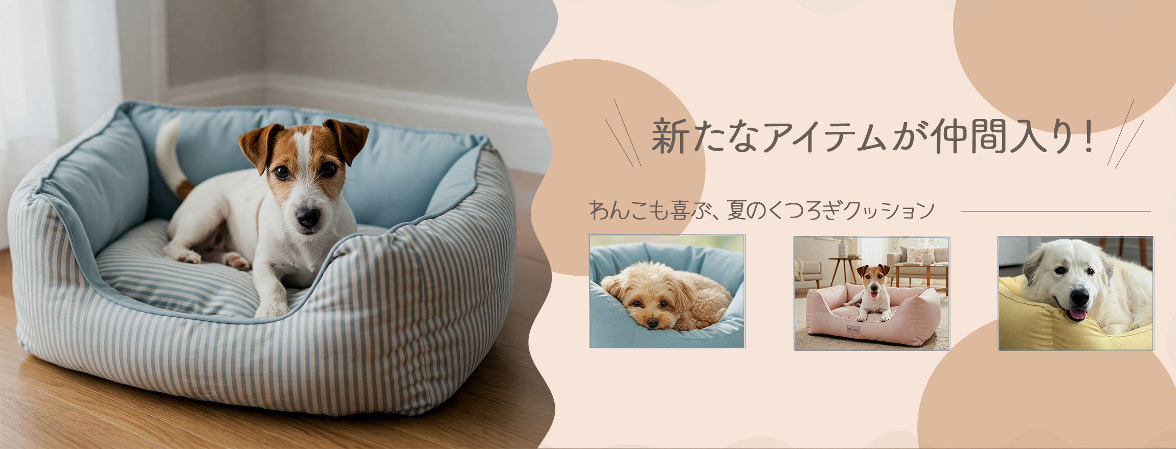 メインビジュアル1